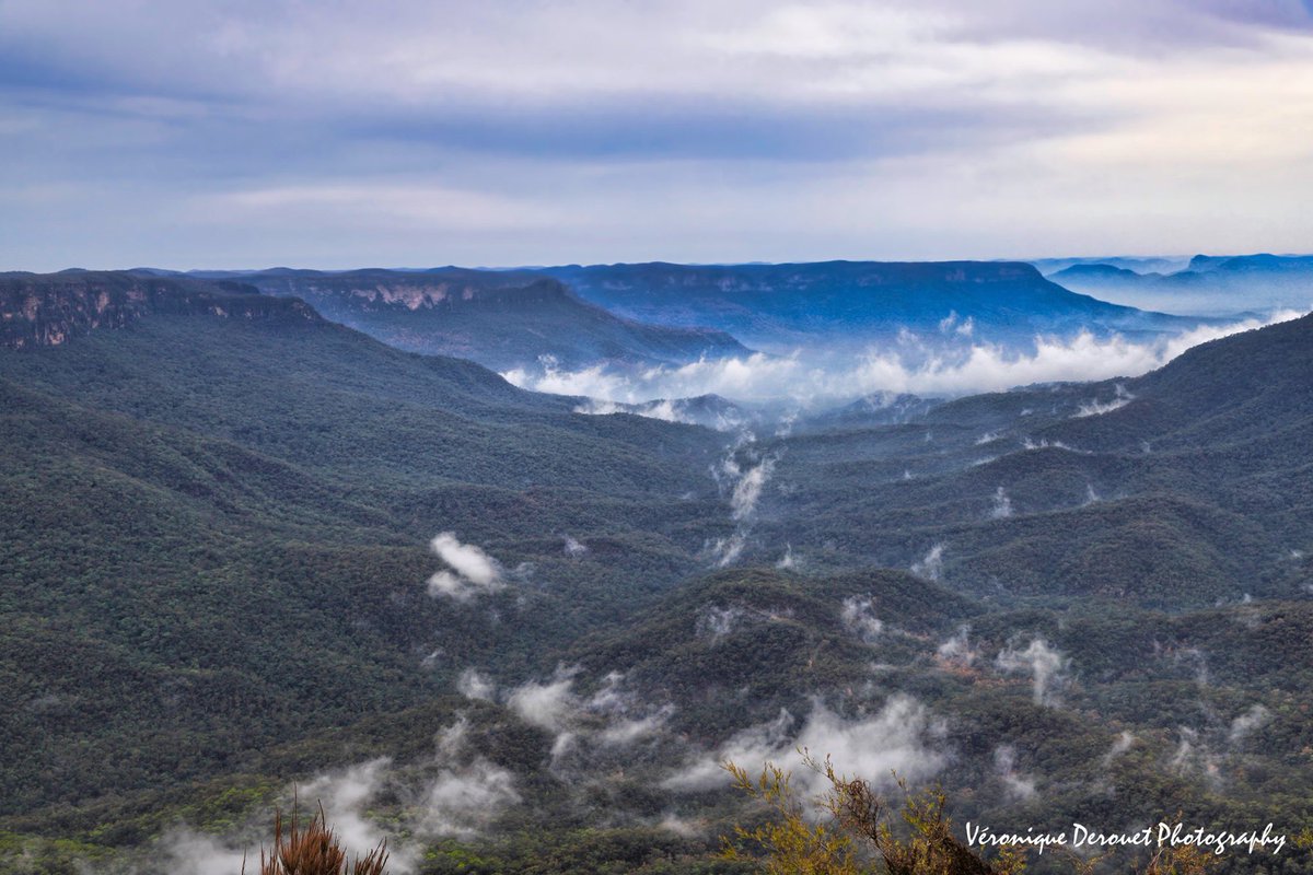 vederouet's tweet photo. 🇦🇺 Sublime Point, Blue Mountains
New South Wales, Australia
©Veronique Derouet January 2020
#sublimepoint #bluemountains #newsouthwales #australia #mountains #landscape #travel 
@ThePhotoHour https://t.co/Q6TwjGbxoL