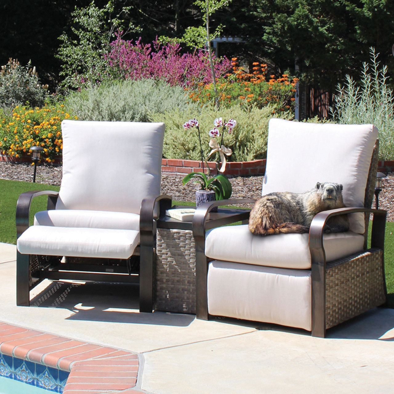 Menards On Twitter The Results Are In And The Prediction Is An Early Spring Let S Celebrate This Great News With Brand New Patio Furniture Https T Co Srha1mqpns Groundhogday Noshadow Celebrate Earlyspring Springiscoming Menards