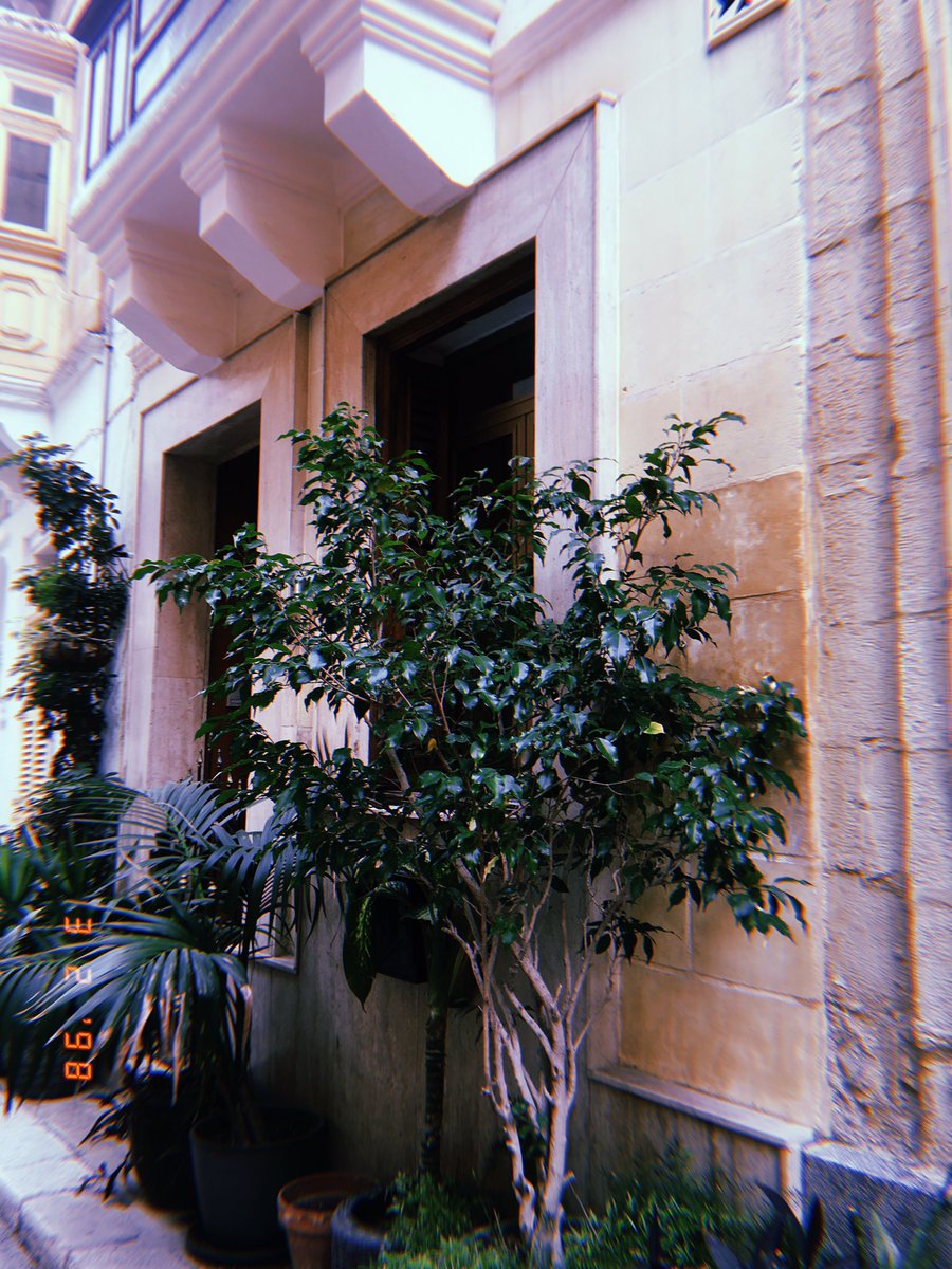 celine58027595's tweet photo. The photo opportunities around Malta are amazing @erasmusplusUK @gicreativearts https://t.co/kU1jWSuc1p