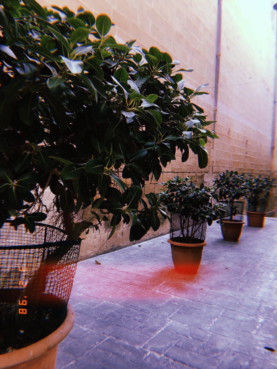 celine58027595's tweet photo. The photo opportunities around Malta are amazing @erasmusplusUK @gicreativearts https://t.co/kU1jWSuc1p