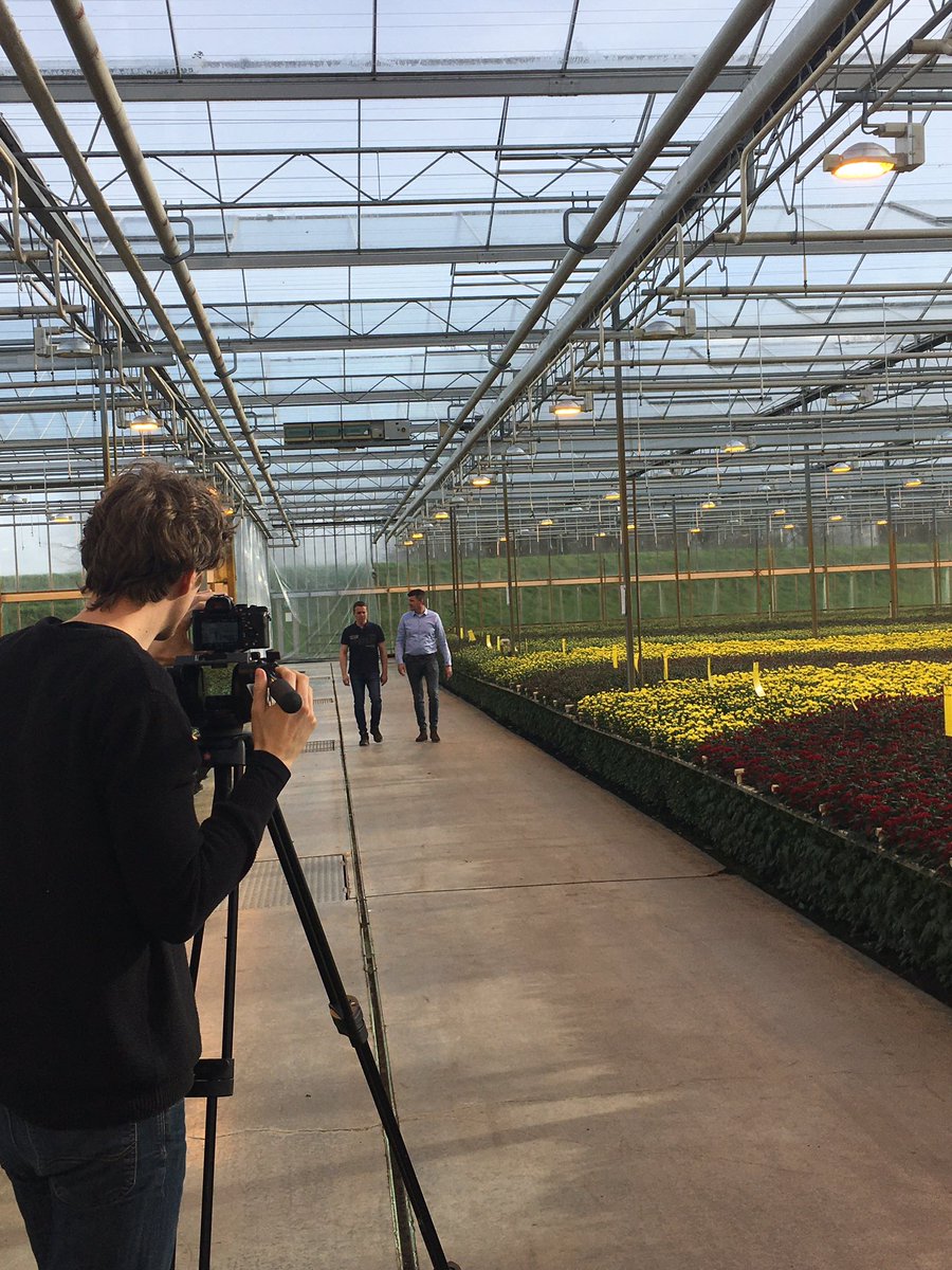 Binnen het thema vergroenen komt productontwikkeling natuurlijk ook aan bod. Welke trends zien we en hoe kunnen we daar onze telers in adviseren? In gesprek met <a href="/richardspronsen/">Richard van Spronsen</a> en Johan van Putten bij <a href="/Buijsflowers/">KwekerijBuijsflowers</a> #vergroenenentuinbouw