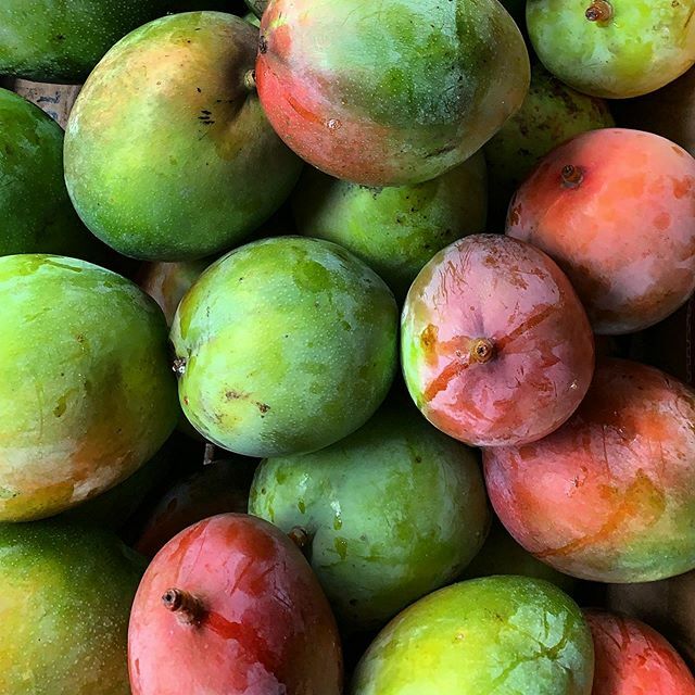 ZoomBowen's tweet photo. Mango season! 😍 https://t.co/3JlhEtIAJu https://t.co/yYO1c16Q8d