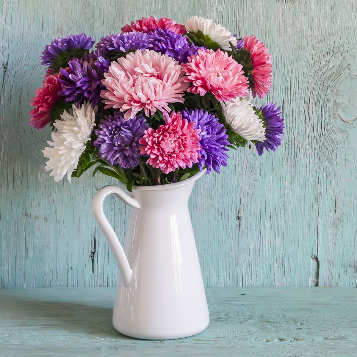 Avas Flowers Panama City Fl Best Flower Site