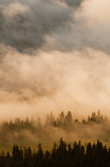 peter_zsolnai's tweet photo. New artwork for sale! - "Clouds over the Trees" - https://t.co/XrvpyrH241 @fineartamerica https://t.co/maEWUed0Sw