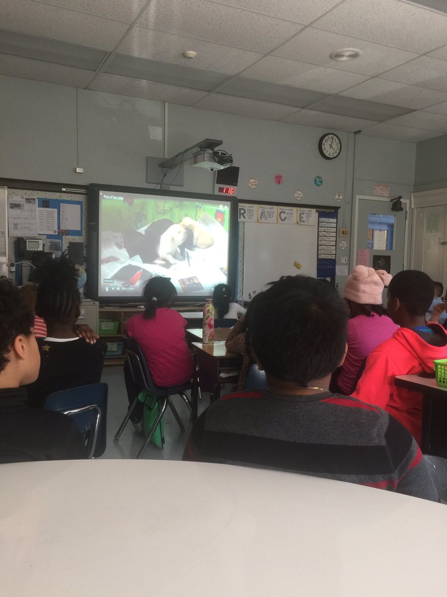 Michele Malone tweet media