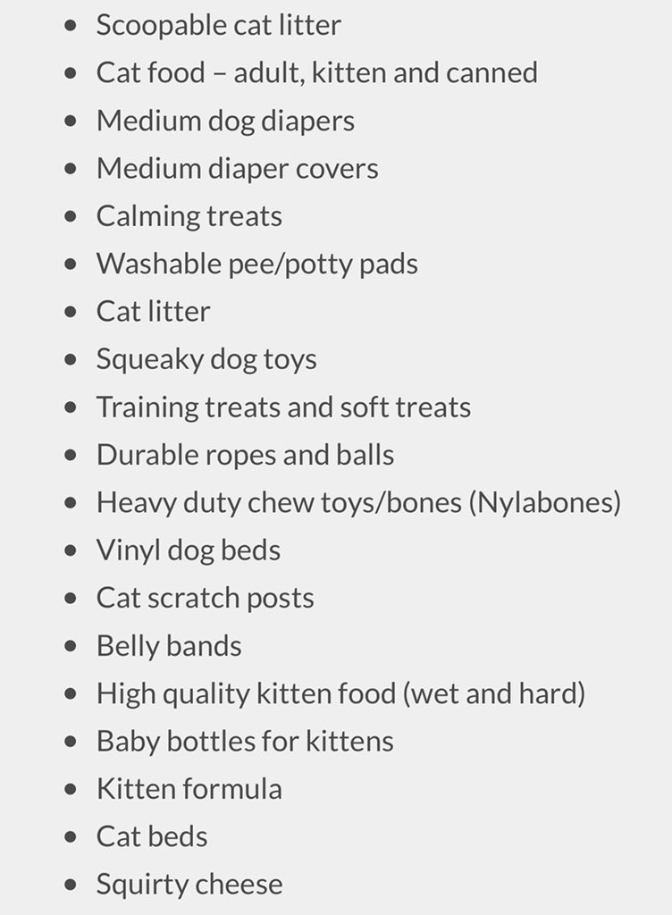 CAMStuCo's tweet photo. The CAM StuCo be starting pennies for paws. Silver coins will get negative points so put them in other jars besides ours. Pennies and dollars get more points! The challenge is between each class, so let’s raise money for these pups! We will also be accepting these donations! https://t.co/H9urlUIpNL
