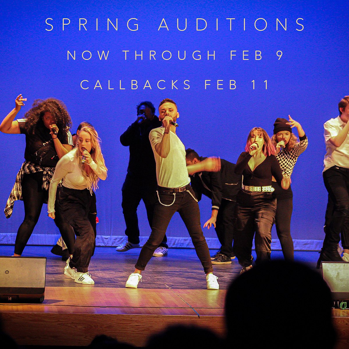 We’re having Spring Auditions! Join us on our journey by sending in a video of you singing a verse &amp; chorus of a song that shows off your voice to mixedmodeacappella@gmail.com by February 9th!