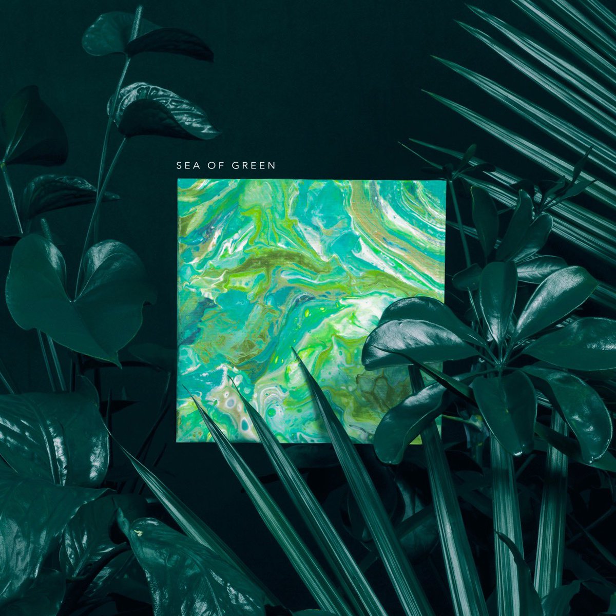 HideawayTheBand's tweet photo. Official music video for “Sea Of Green” coming this Friday, February 7th 🏝 https://t.co/XI7sLUAATq
