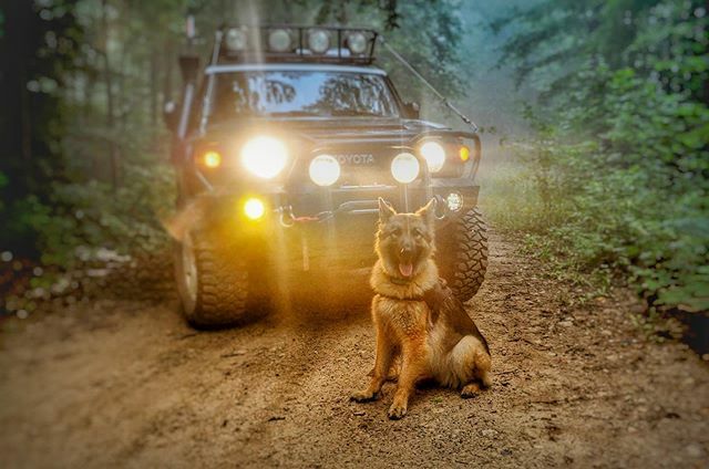 OntarioOverland's tweet photo. Adventure pups! Who’s got one?
🐕🌲🇨🇦 https://t.co/CSI1Uvv77S https://t.co/cFeOjnQAUm