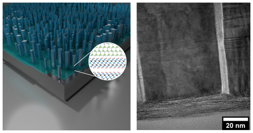 nanotrac's tweet photo. ACS Nano [ASAP] Titanium Carbide MXene Nucleation Layer for Epitaxial Growth of High-Quality GaN Nanowires on… https://t.co/yhc809ndwc Via @acsnano #ACSNano #Nanoscience #Nanotechnology #AssemblyOfNanostructures #Nanomaterials #SelfAssembledStructures #TheoryOfNanostructures https://t.co/uwUmvFL3aE