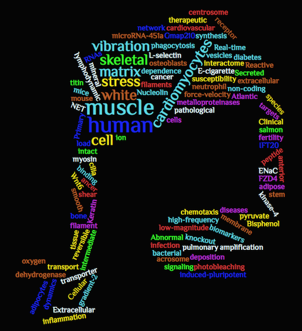 AJPCellPhys's tweet photo. NOTE THIS: #PublishedinAJPCell in January 2020. 
Latest wordcloud from titles of Papers.
See the whole issue @https://www.physiology.org/toc/ajpcell/318/1 https://t.co/NcOgTCxMwu