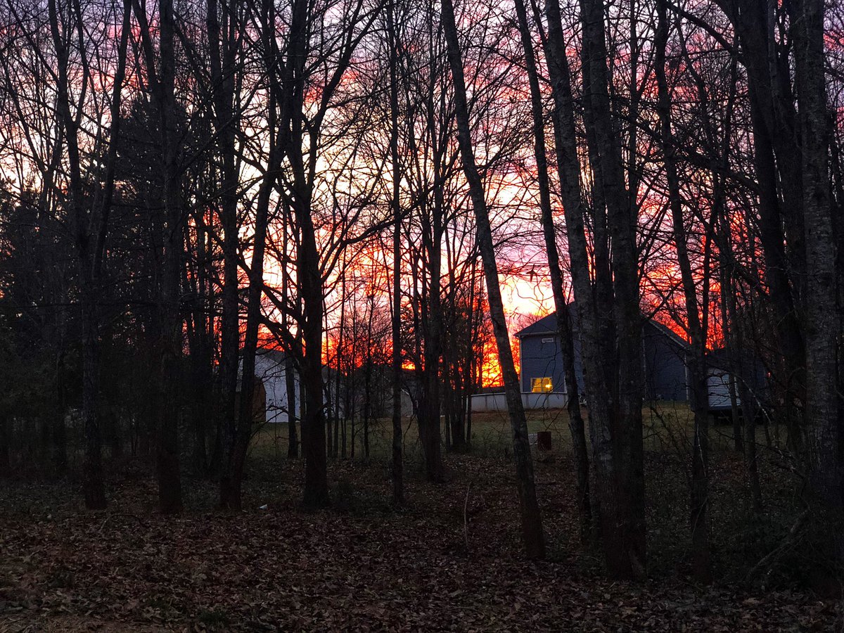 JessStumpf's tweet photo. The sky is on fire tonight. Love these South Carolina sunsets. π#exploreeasley #easleydoesit #discoversc #onlyinsouthcarolina https://t.co/cTw7AQyZX2