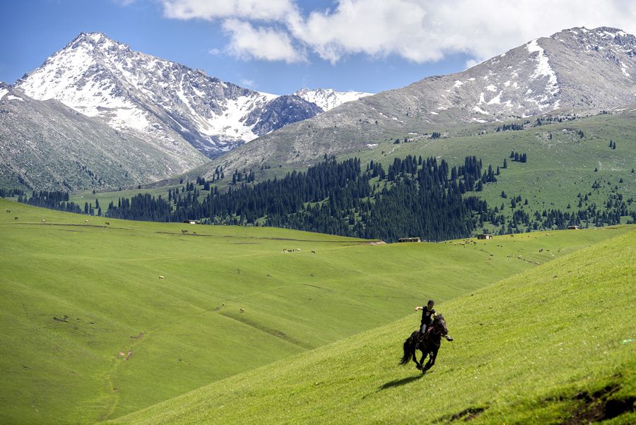 #MBDChina #MBDNature