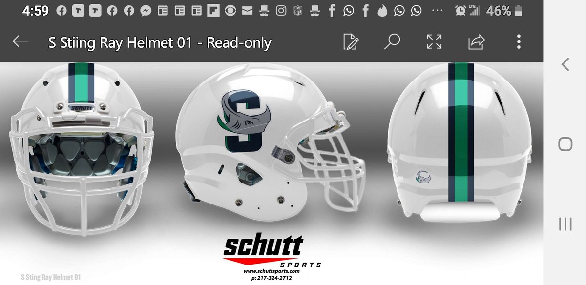 What you'll think About the new Logo and Helmet for the New School SUMNER no doubt!!!!