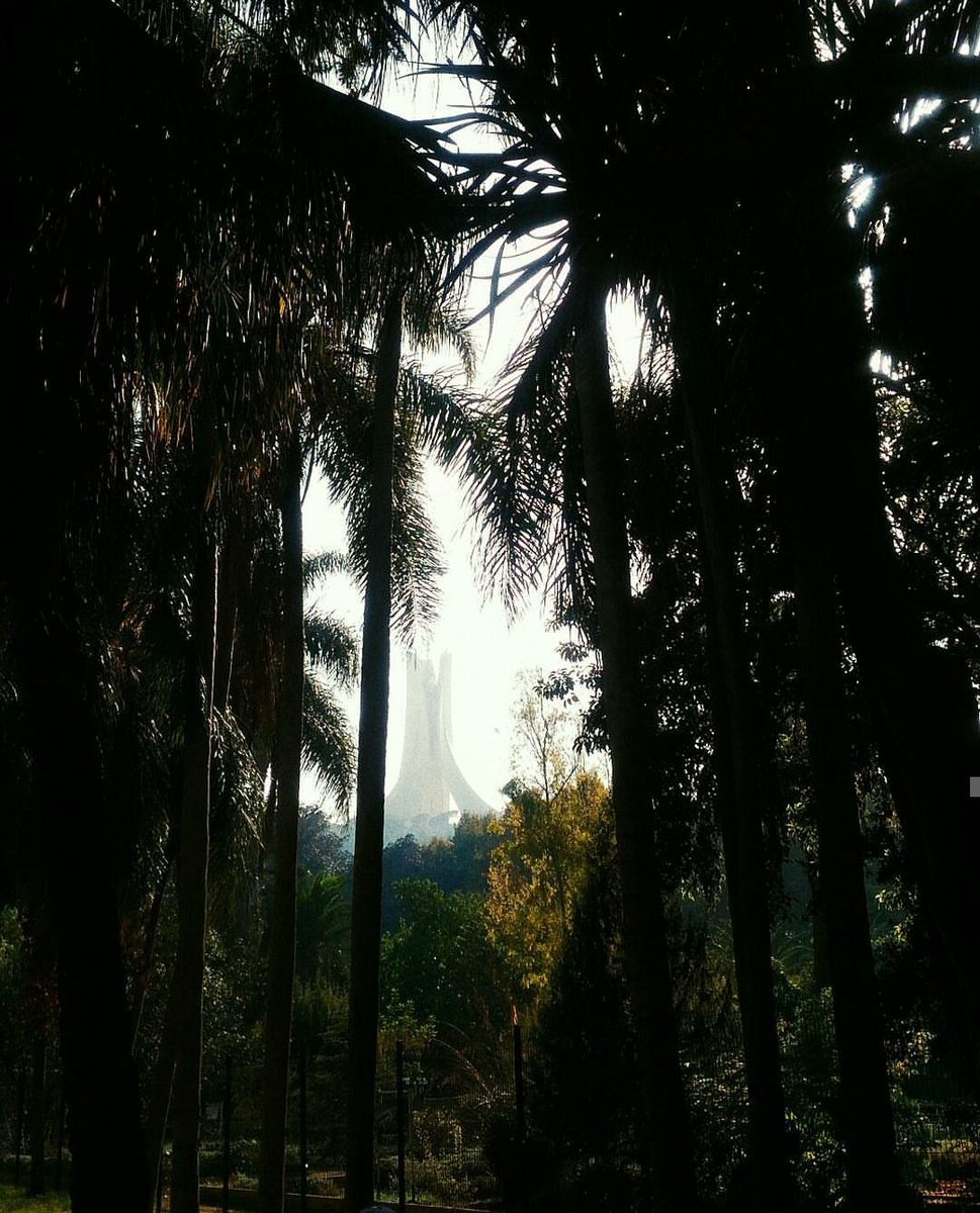 manexistish's tweet image. J'en ai trop