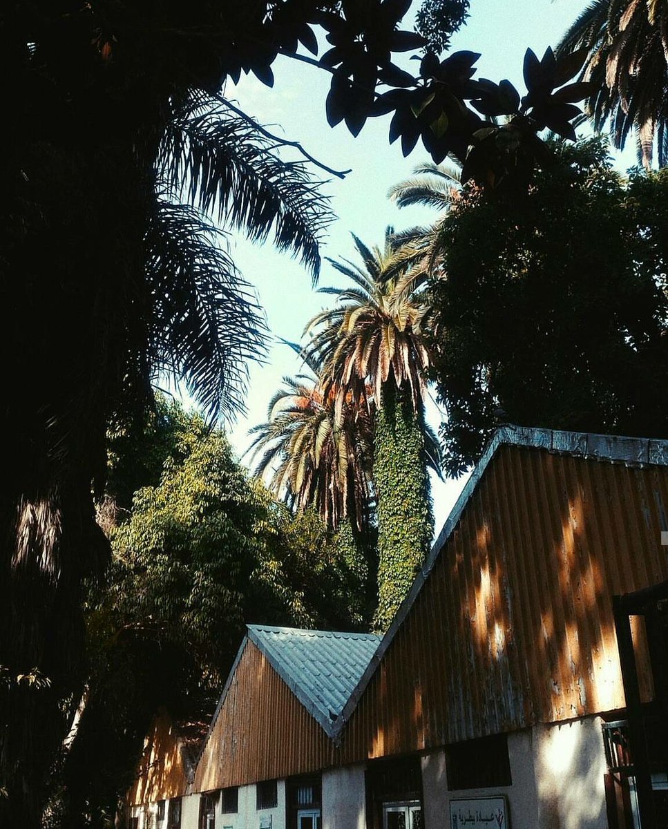 manexistish's tweet image. J'en ai trop