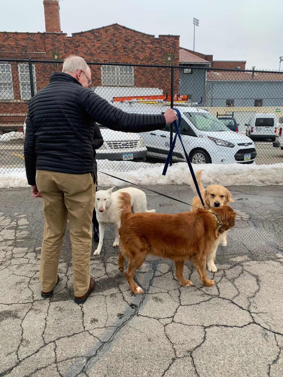 Bailey meets Deidre DeJear's dogs, Macy and Maurice.