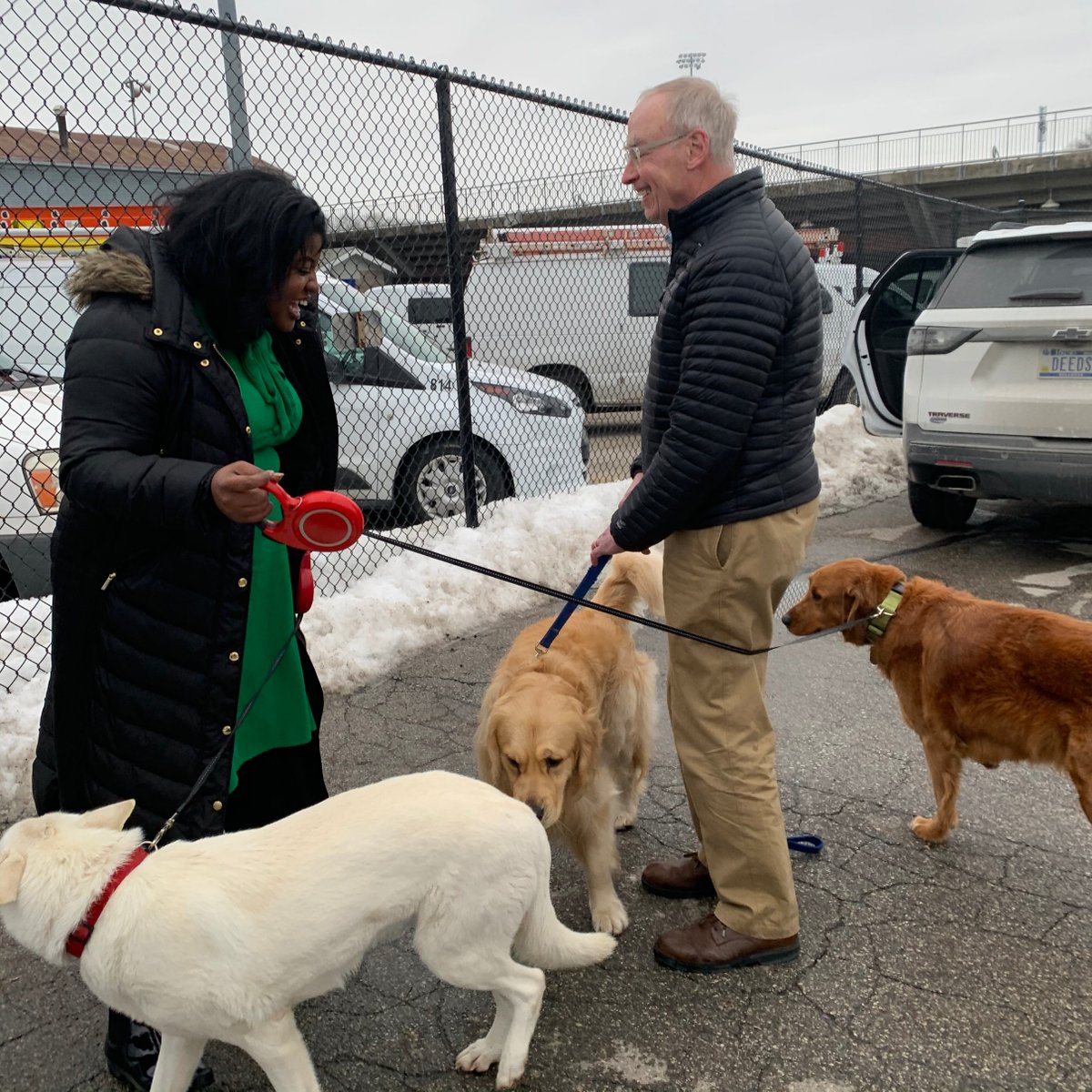 Bailey meets Deidre DeJear's dogs, Macy and Maurice.