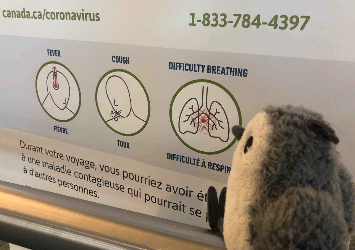 Plush sandpiper with an informational sign about the symptoms of corona virus
