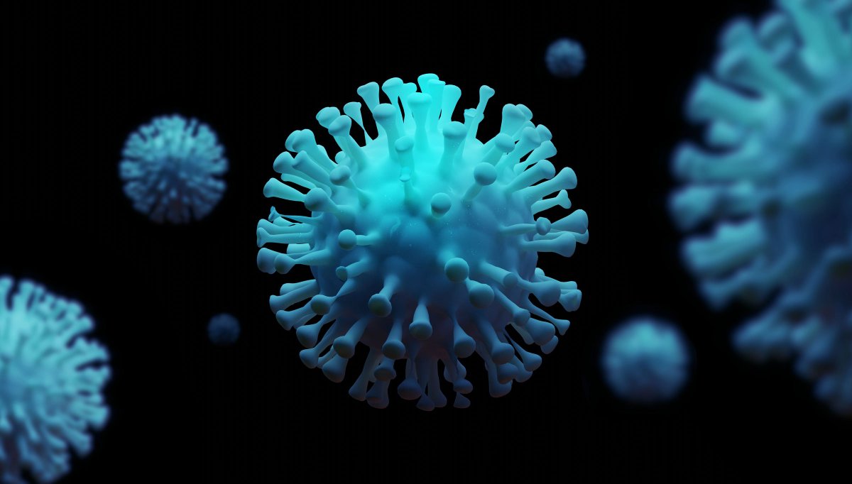 photo of the coronavirus