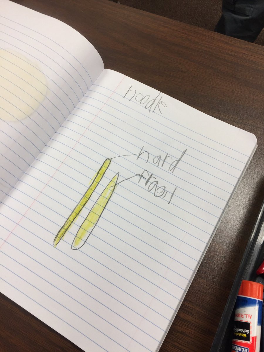 Poni3kj's tweet image. First friends Chef for the Day. We observed how hard, straight, fragile noodles change into soft, curley, noodles when subjected to heated water. We will observe many food items this week as we wrap up our unit on Properties of Matter. #Firstfriends. #CISDScienceRocks