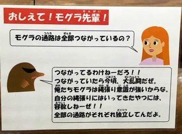 過激な「動物Ｑ＆Ａ」の掲示板発見！多摩動物公園のモグラ先輩がとっても毒舌な理由とはｗｗ
