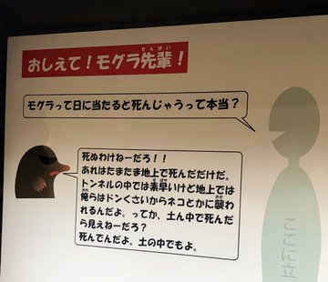 過激な 動物ｑ ａ の掲示板発見 多摩動物公園のモグラ先輩がとっても毒舌な理由とは 話題の画像プラス