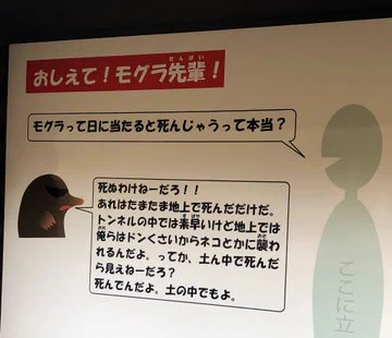 過激な「動物Ｑ＆Ａ」の掲示板発見！多摩動物公園のモグラ先輩がとっても毒舌な理由とはｗｗ