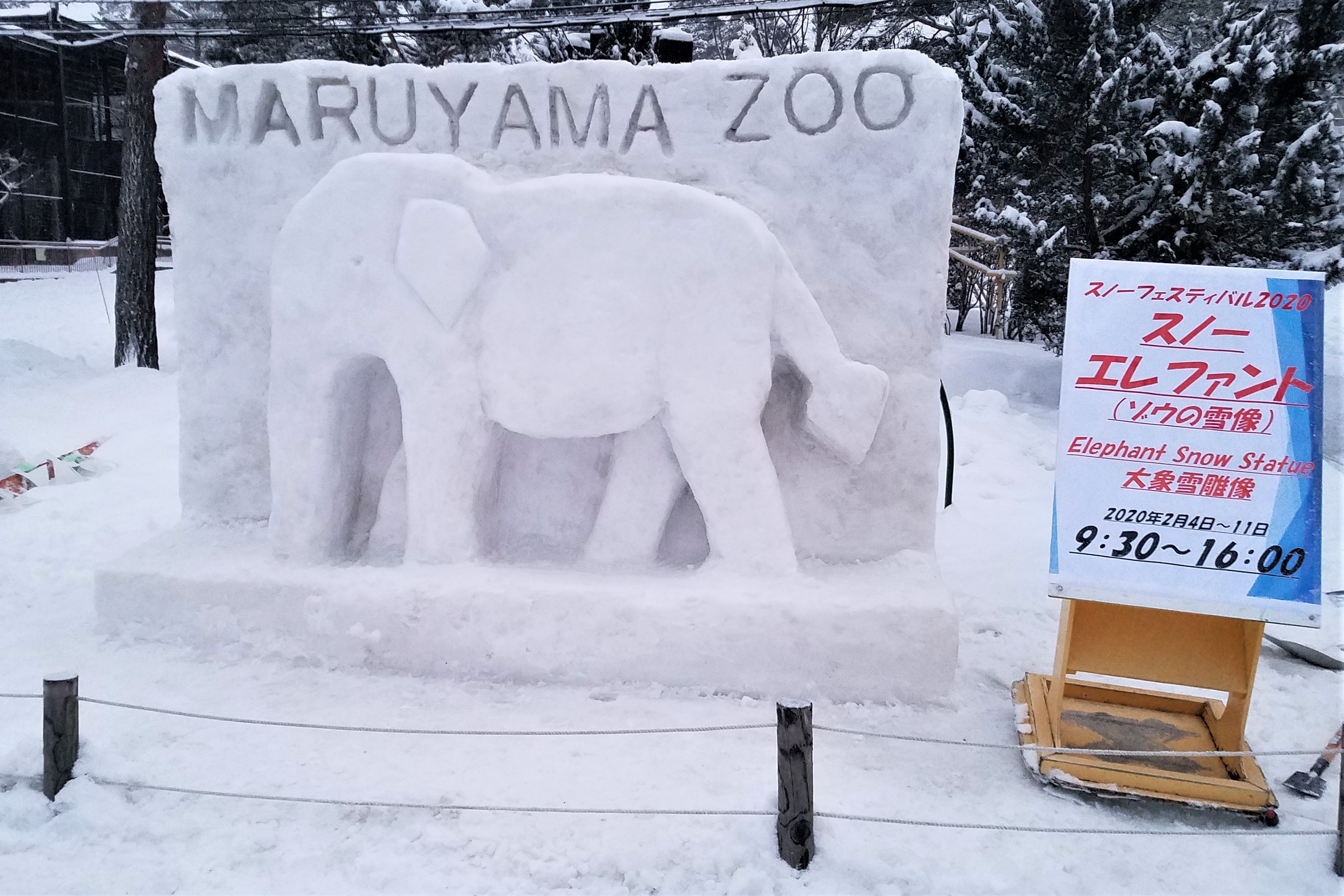 マルヤマン 円山動物園 公式 本日 11日 さっぽろ雪まつりに合わせて 円山動物園スノーフェスティバル を開催します 本日からは氷のすべり台とゾウの雪像が登場 週末にはトークショーを複数開催予定です 冬に魅力を増す動物たちと一緒に