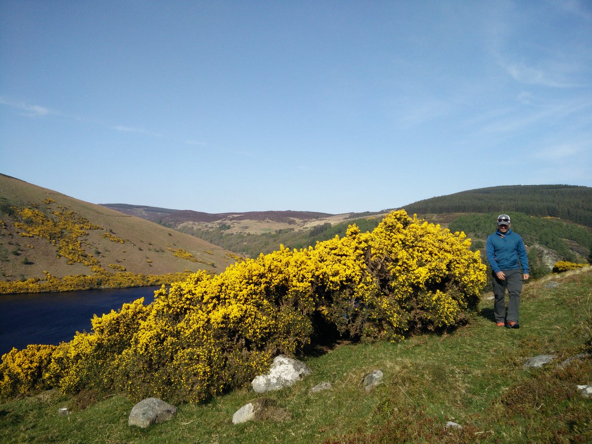 Carsten "Sauerkraut" tweet media