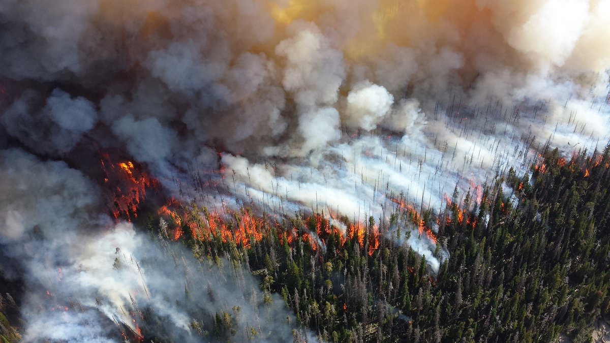 RETrendShark's tweet image. I wanted to share this article from The Insurance Journal with you. Fire Weather is a new term being associated with the concept of chronic massive fire seasons and real estate investors need to take notice.  #climatechange #investingprofits #realestatein relentlessinnovator.com/2020/02/03/fir…