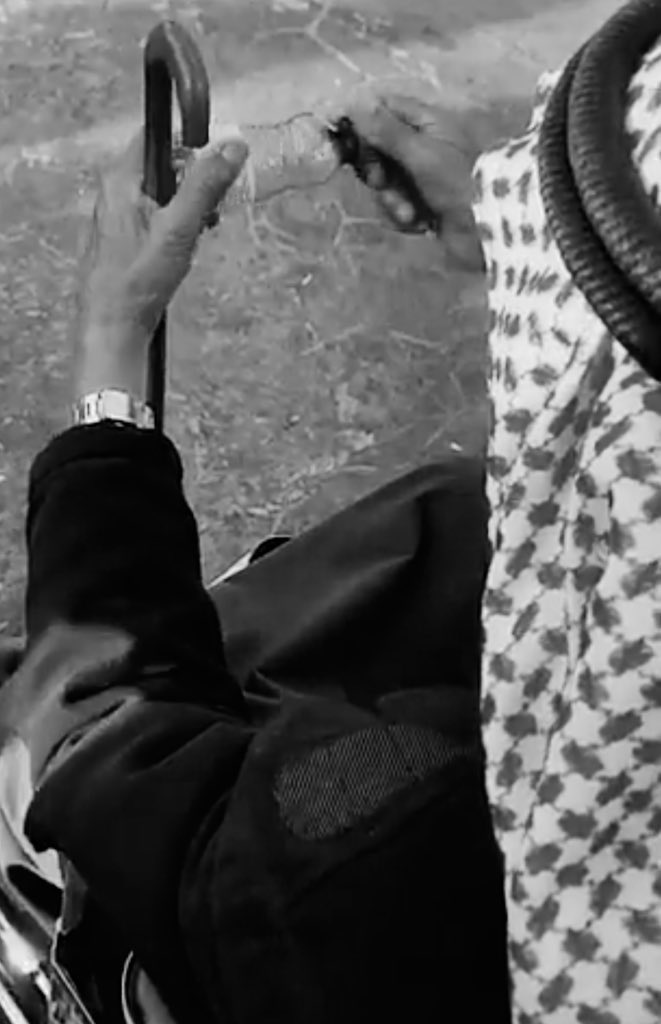 #شارك_بصوره_ابوك
ياليت ابوي حي واجلس قباله
ولا على جنبه اراكي يمينه