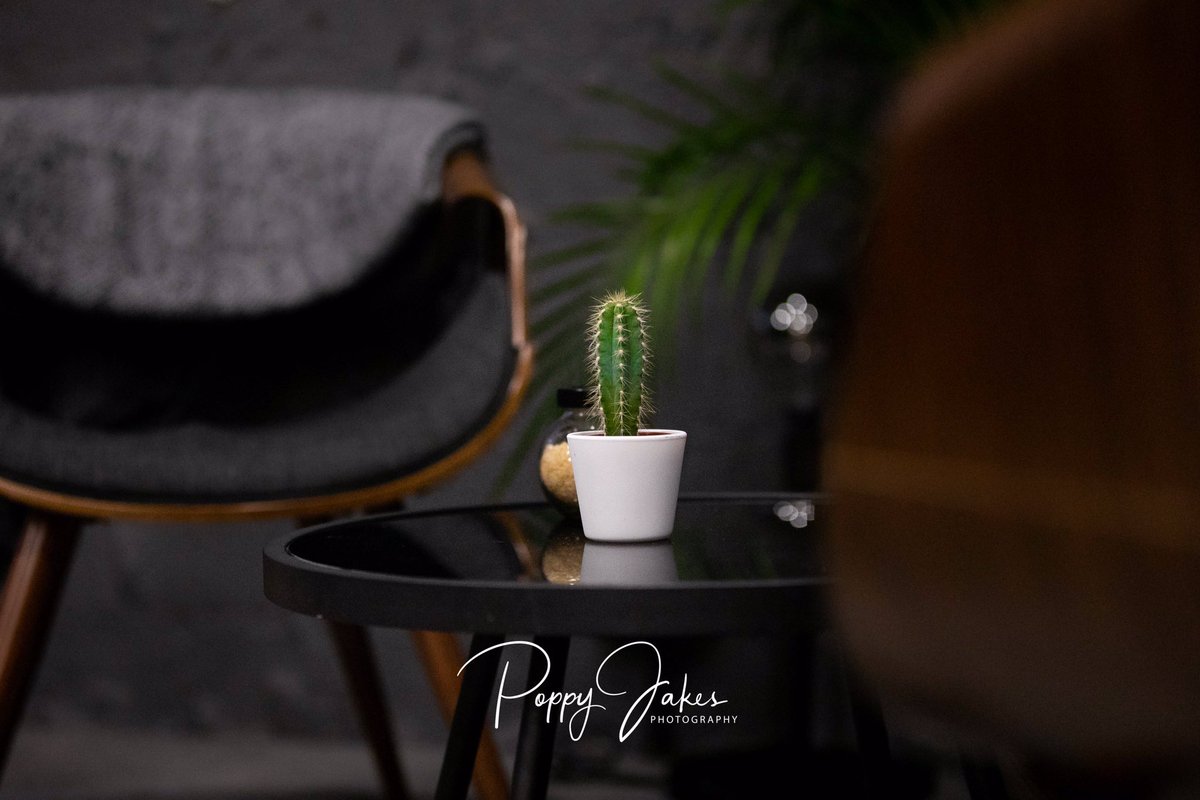 jakes_poppy's tweet photo. Got to love the new look at Wesup in Torquay #Torbayhour @BoostTorbay #wesup #poppyjakesphotography https://t.co/rTqE1V6J7N