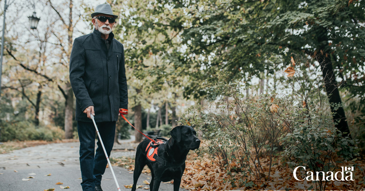 A senior man with a visual impairment walking with his guide dog.