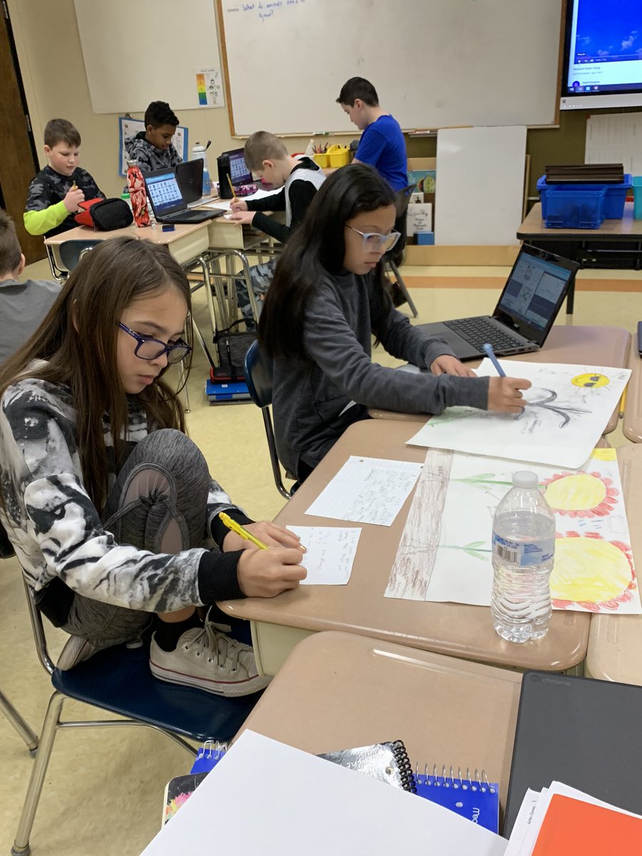 garbyclass's tweet photo. Leaving feedback on our classmates’ projects on photosynthesis https://t.co/vHnxRalQyV