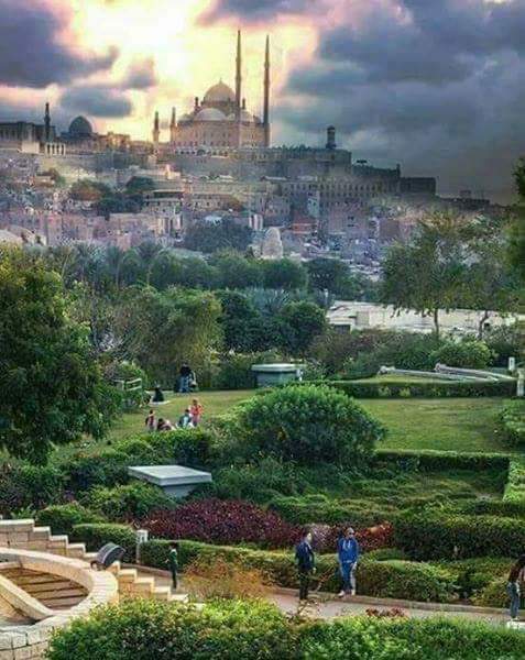 جمال مصر