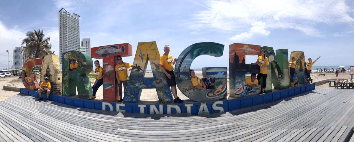 Allie Wilson tweet media