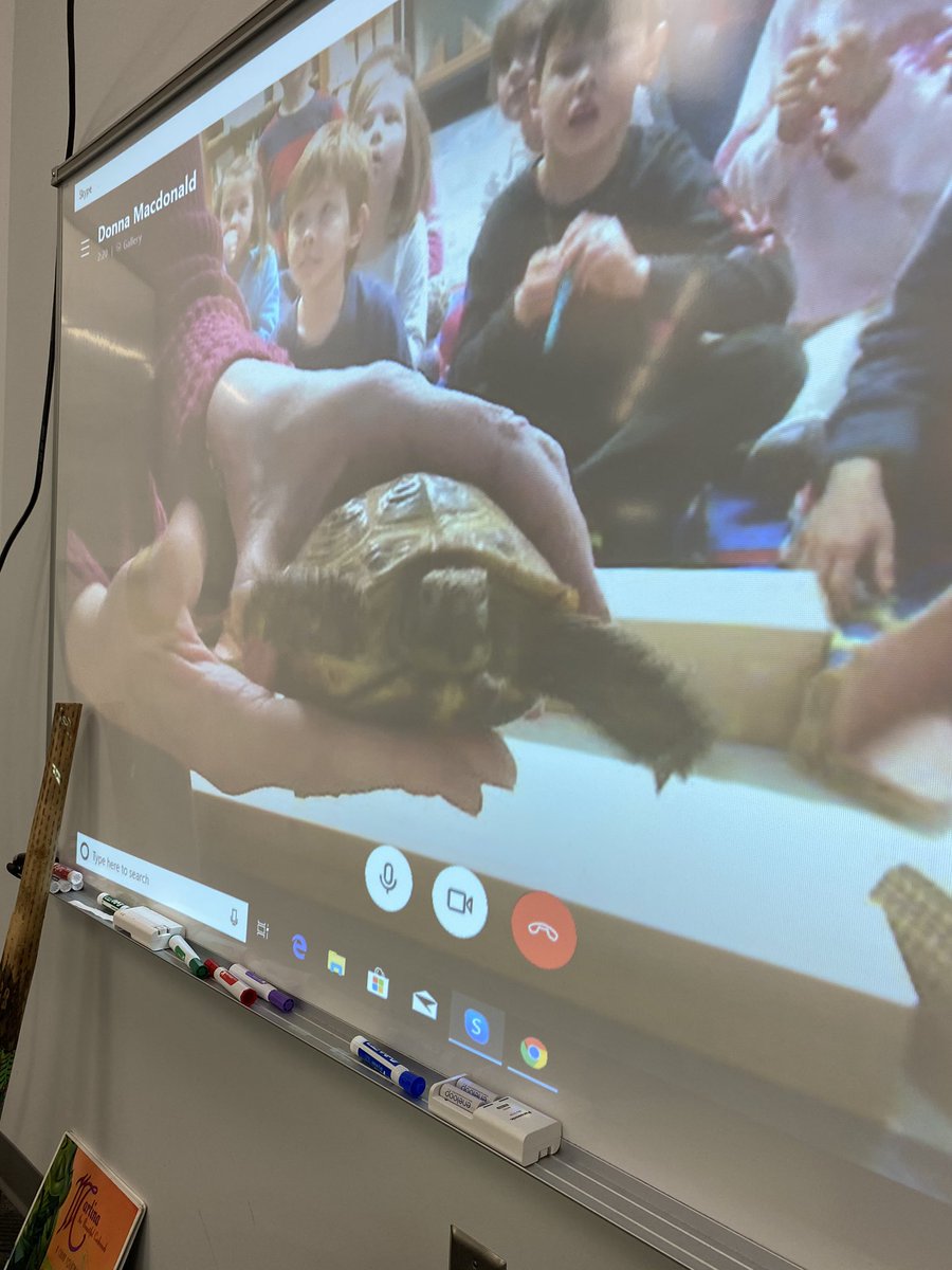 plemmonsa's tweet photo. What a great 1st day of #WorldReadAloudDay We shared Truman, Seagull and Sea Dragon, and Same same but Different with classes in Maine, Vermont, Michigan, and Kansas. We even met a tortoise named Milo #tlchat #wrad2020 #wrad20 #futurereadylibs @KellyHincks1 @SydniGregg @lucyruth https://t.co/cjZd89kkrn