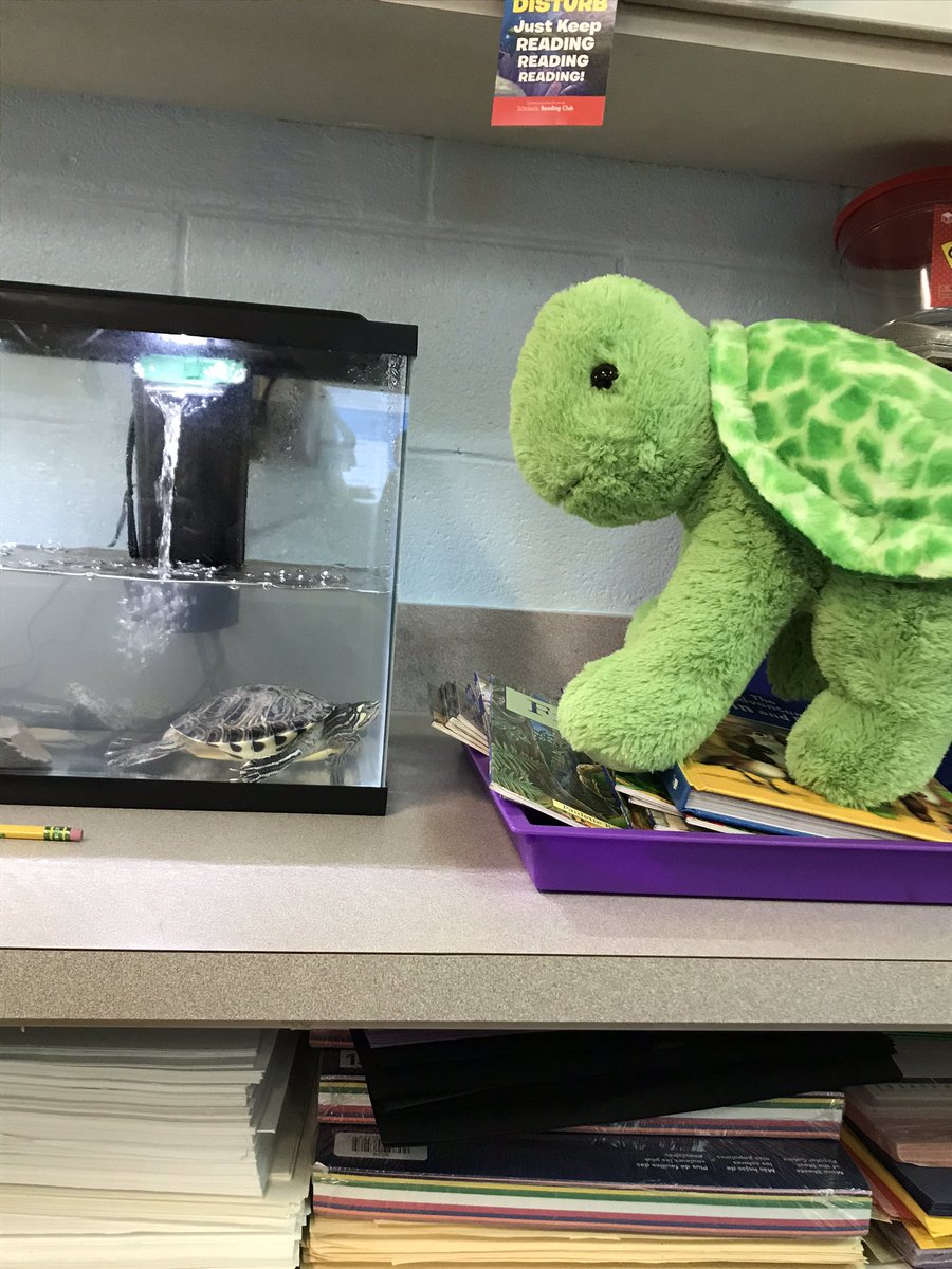 MsBoonesBabes's tweet image. Our @DonorsChoose project was fully funded! We got #Franklin books for our new class pet #FranklinTheTurtle ! We can’t wait to read to him! #MsBoonesBabes @InspireReaders @PaulaChina1 @RichlandTwo @TammerRoberts @WillieAP34