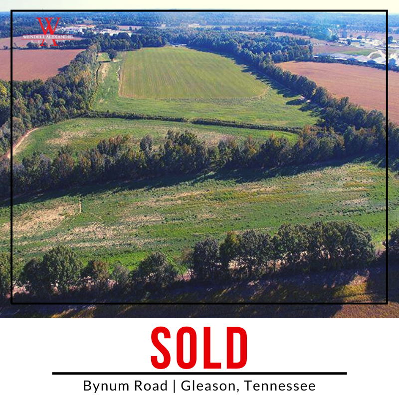 warealty_'s tweet photo. 🌄 𝐒𝐎𝐋𝐃!! 🌄 

𝐌𝐢𝐬𝐬 𝐨𝐮𝐭 𝐨𝐧 𝐭𝐡𝐢𝐬 𝐚𝐦𝐚𝐳𝐢𝐧𝐠 𝐩𝐫𝐨𝐩𝐞𝐫𝐭𝐲?  𝐓𝐡𝐚𝐭'𝐬 𝐨𝐤𝐚𝐲, 𝐰𝐞 𝐡𝐚𝐯𝐞 𝐦𝐨𝐫𝐞 𝐥𝐢𝐬𝐭𝐢𝐧𝐠𝐬 𝐨𝐧 𝐨𝐮𝐫 𝐰𝐞𝐛𝐬𝐢𝐭𝐞.  𝐆𝐨 𝐭𝐨 https://t.co/6uS9g2ybnh 𝐭𝐨 𝐜𝐡𝐞𝐜𝐤 𝐭𝐡𝐞𝐦 𝐨𝐮𝐭. https://t.co/QjuWabwSxZ