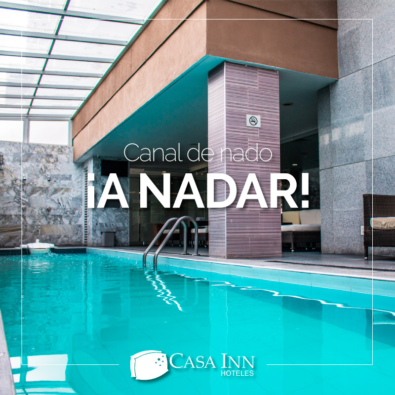CasaInnHoteles's tweet photo. ¡Natación a primera hora del día!
Recuerda que al nadar ejercitamos más de dos tercios los músculos de nuestro cuerpo. Aprovecha nuestro canal de nado climatizado e inicia tu día con más energía 🏊🏻♂
#CuidamosDeTi #CasaInn https://t.co/D0zruidv0h