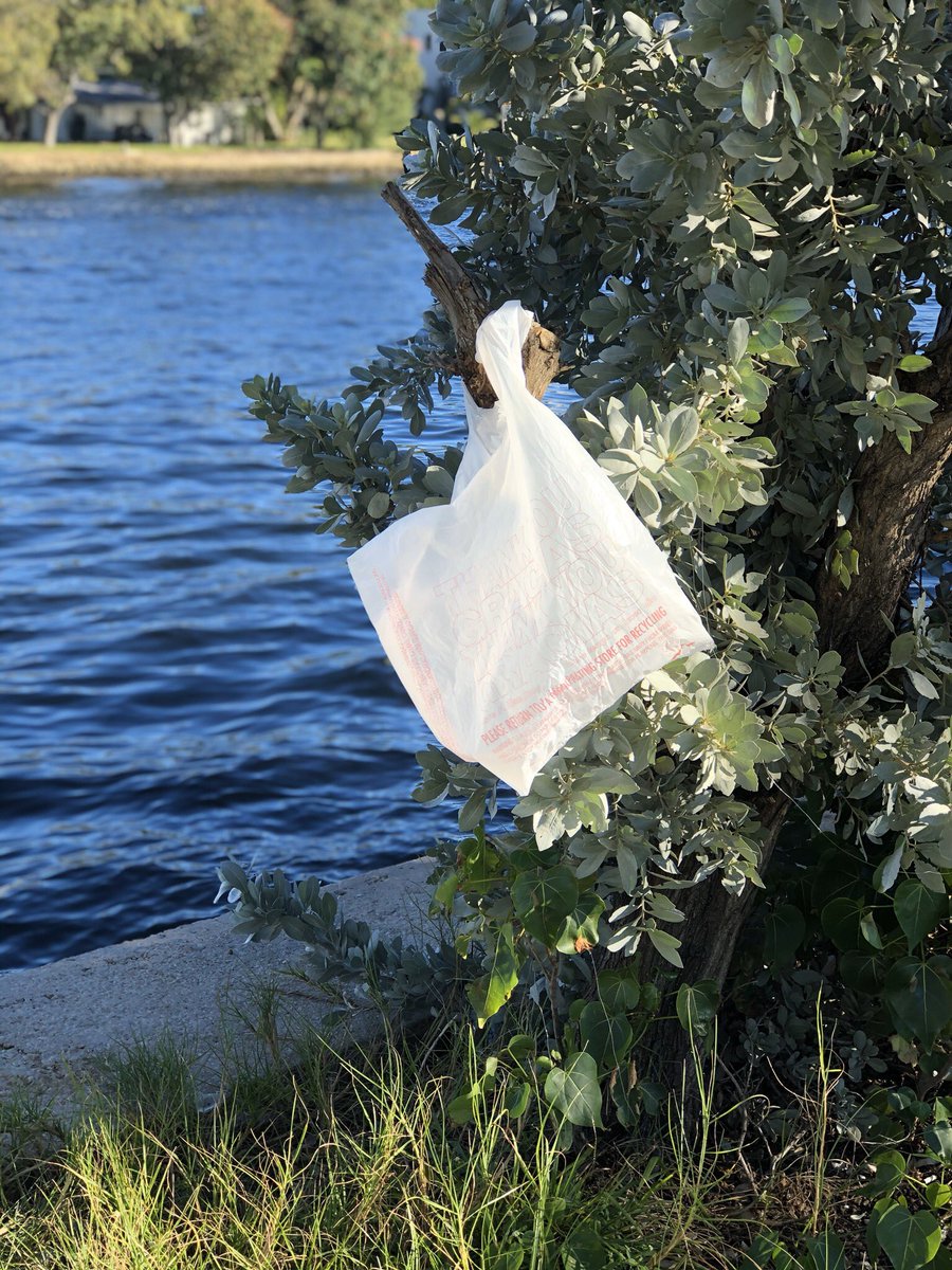 wildplasticorg's tweet photo. Over 1 Million single-use #plastic bags are used every minute for an average of 12 minutes every day. Only 1% are properly #recycled. We can #change that! #wildplasticorg #mysolutiontooceanpollution #saveourseas #zerowaste #oneless #ecofriendly #eco #environment #sustainable https://t.co/x7Ary6b3HM