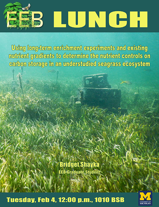 Seminar flyer has image of a cinder block reef underwater surrounded by seagrass. 