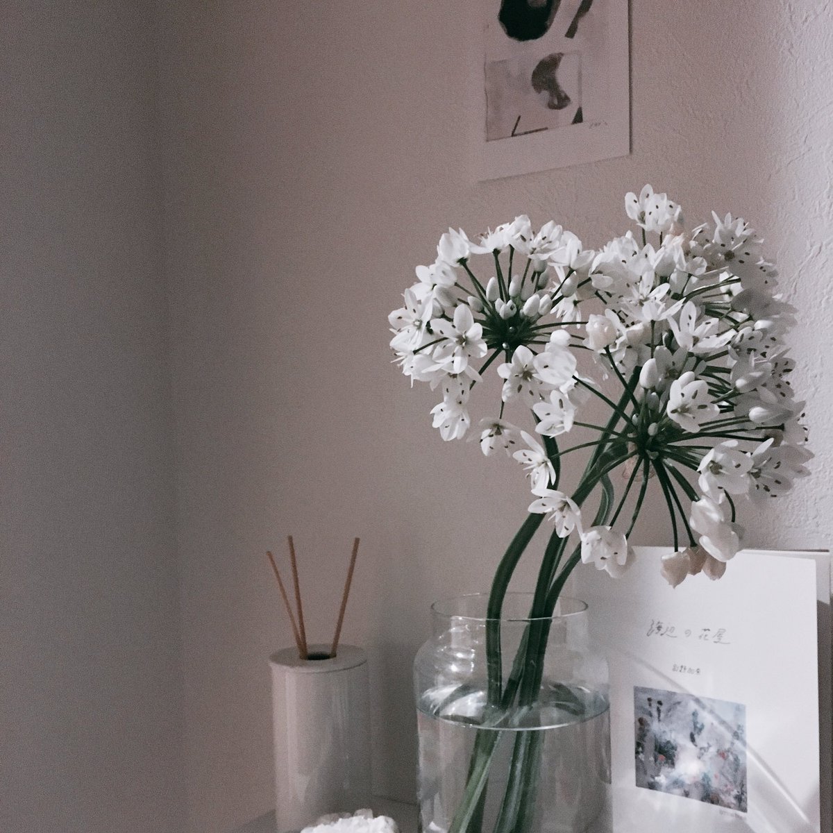 映画 Ｃooρ 𝑺cɦกeideɼ's 𝑻hαnк𝒔ｇ𝖎v𝖎nｇ🐈‍🪴#ウェブ夢 🍔 tweet media