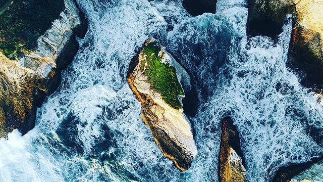 JJ_Bloom's tweet photo. Photo By Adam Torres | Unsplash - via @Crowdfire
#CowNinja #uidesign #design #artinspiration #art #fineart #drone #graphicdesign #oceanconservancy #toursofireland #seaconservancy #arttherapy #justforfun #westcoastcamping #views #décorationencorian #unit… https://t.co/ZmVIrnfWsU https://t.co/nroAK8mCYf