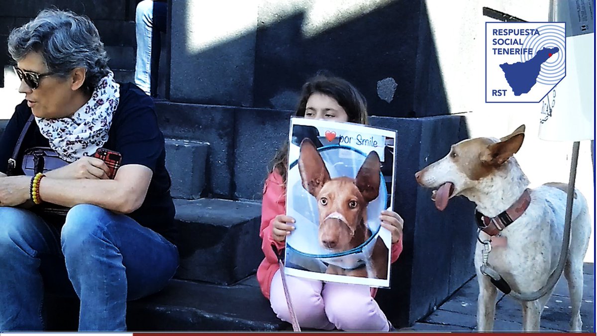 TemesDaniel's tweet photo. 🎂 #RST8 🎂 [ TENERIFE - SANTA CRUZ ] FOTO 3 💕  Belén FG, 🐾  #TANZA y #KINDER, 🐾 (nuestras 2 preciosas podencas canarias 😍 ) junto con Daniel Temes de Respuesta Social Tenerife - Temes Rst, acudieron el 2 de febrero de 2020 a Manifestación nacional No A La Caza https://t.co/7rI4Il40S6