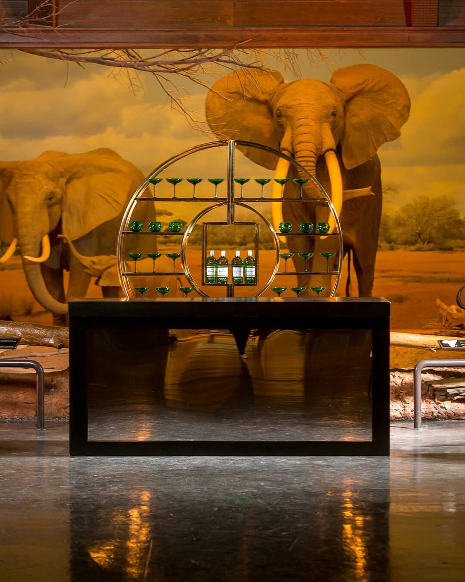 BrightRentals's tweet photo. Meet the Veronique Back Bar - its sleek design is distinct and a perfect piece for a night at the museum when you can expect the unexpected!
.
.
.
Photographer: The Vanity Portrait Studio
Venue: Natural History Museum of Los Angeles @NHMLA
.
#2020BrightCollection https://t.co/5Eoa2PUylo