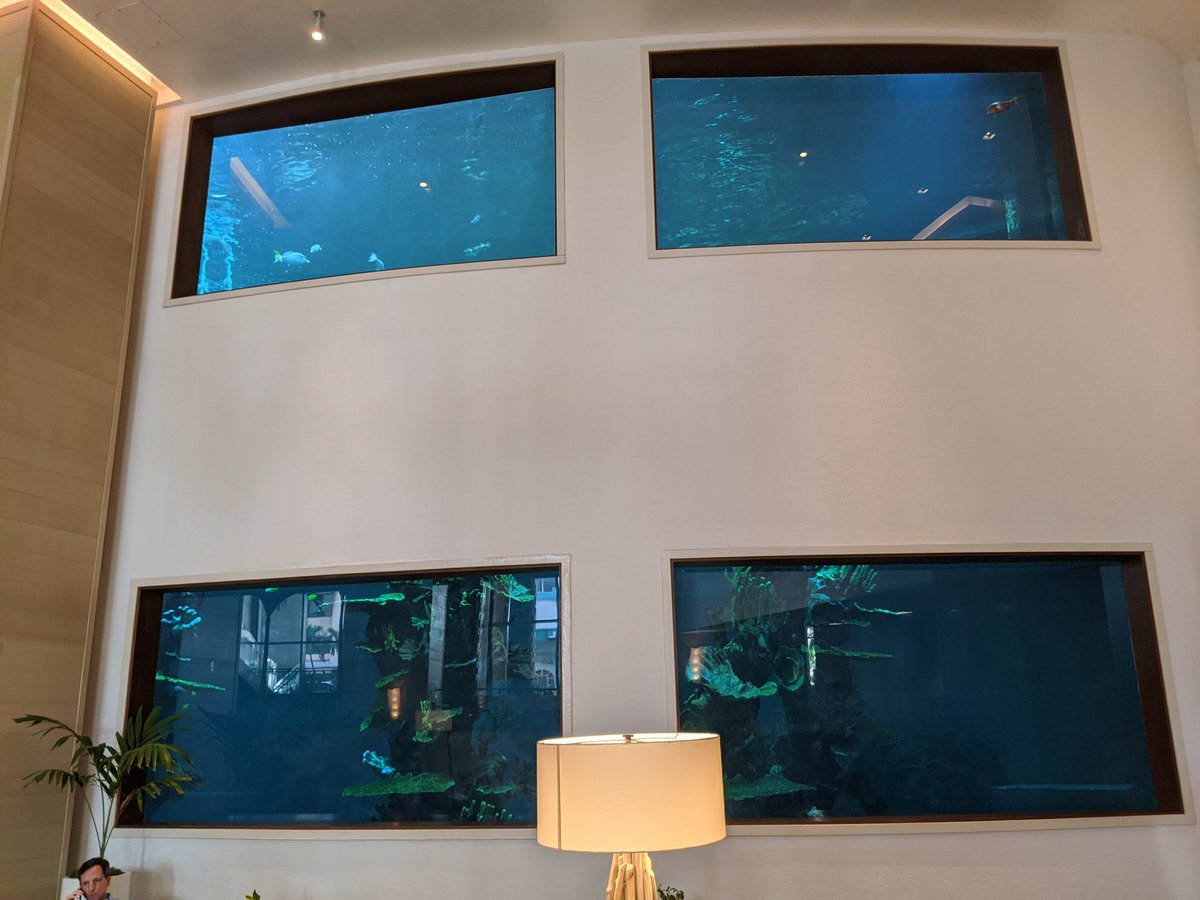Aquarium at the hotel