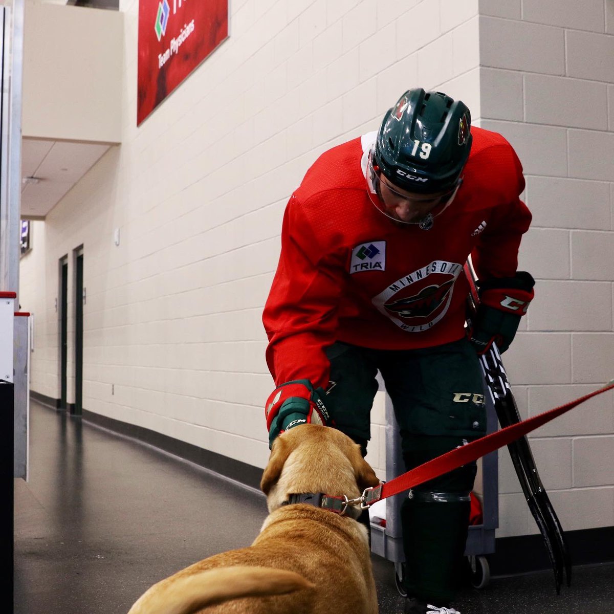 mnwild's tweet photo. A very good boy joined us at practice today. 🐶

#mnwild https://t.co/UaNA0ICqJk