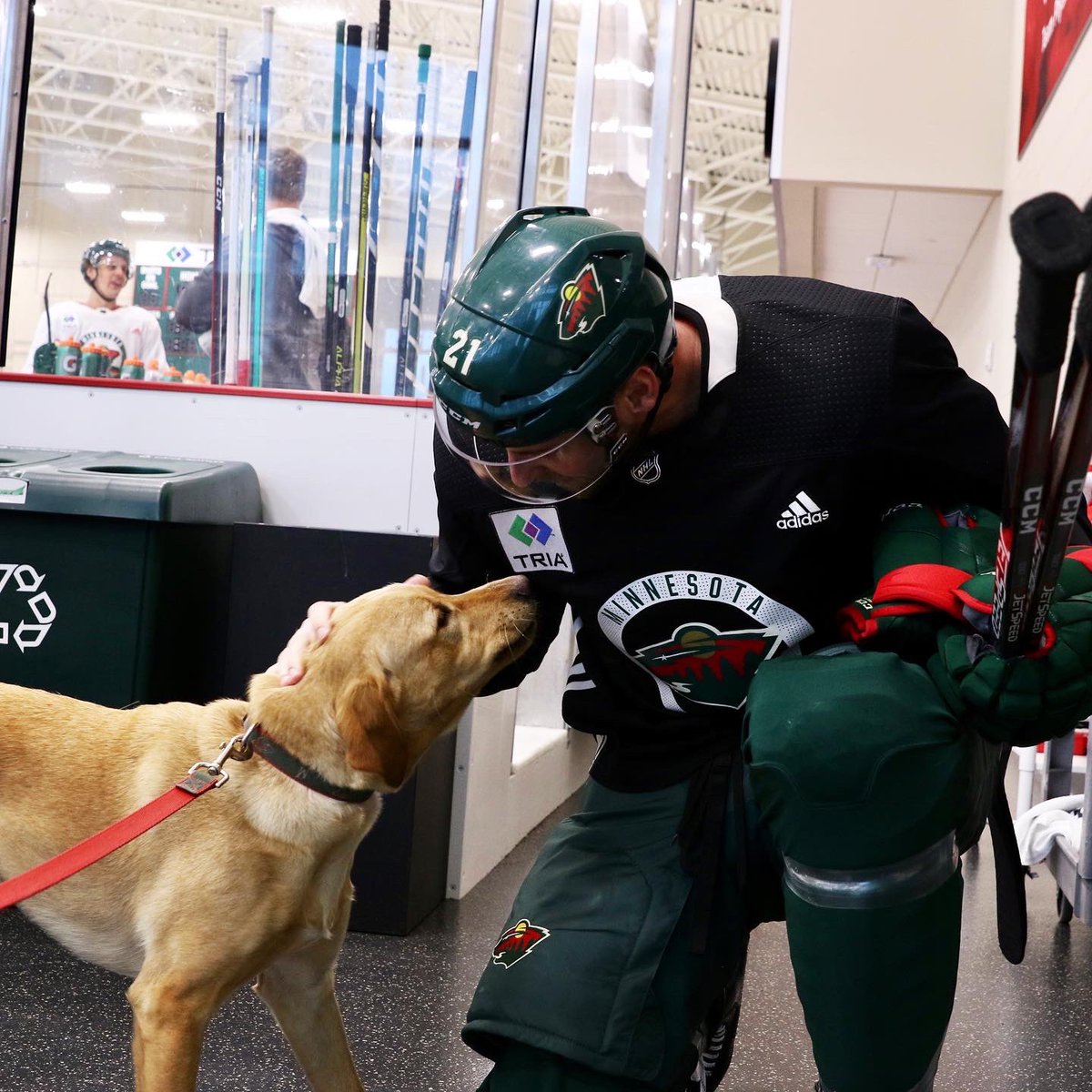 mnwild's tweet photo. A very good boy joined us at practice today. 🐶

#mnwild https://t.co/UaNA0ICqJk